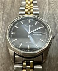 Citizen Eco-Drive WR 100 E101-S053412 Day/Date Men's Watch